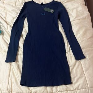 NWT Wild Fable Blue Long Sleeve Mini Dress